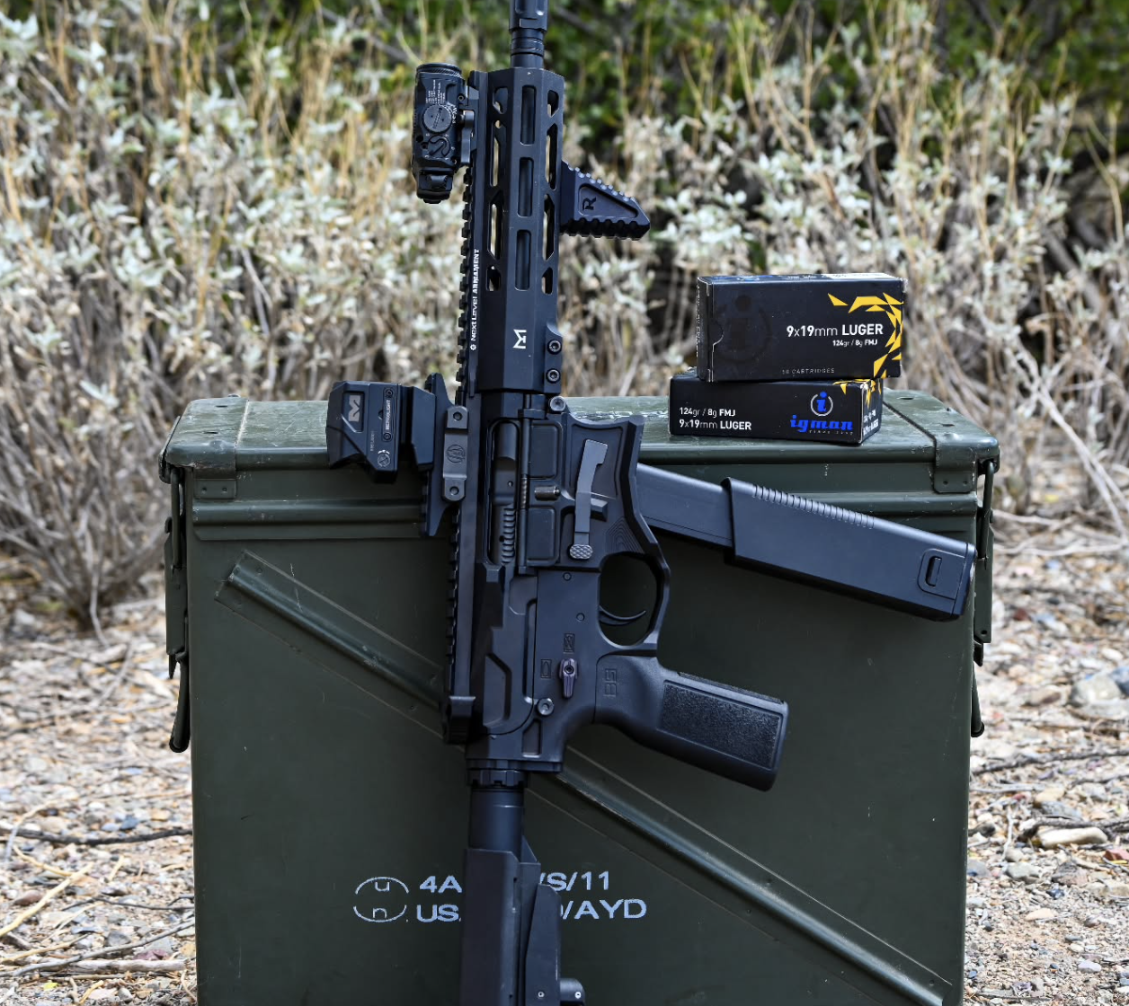 AR for truck gun